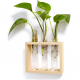 Glass Planter With Wooden Base